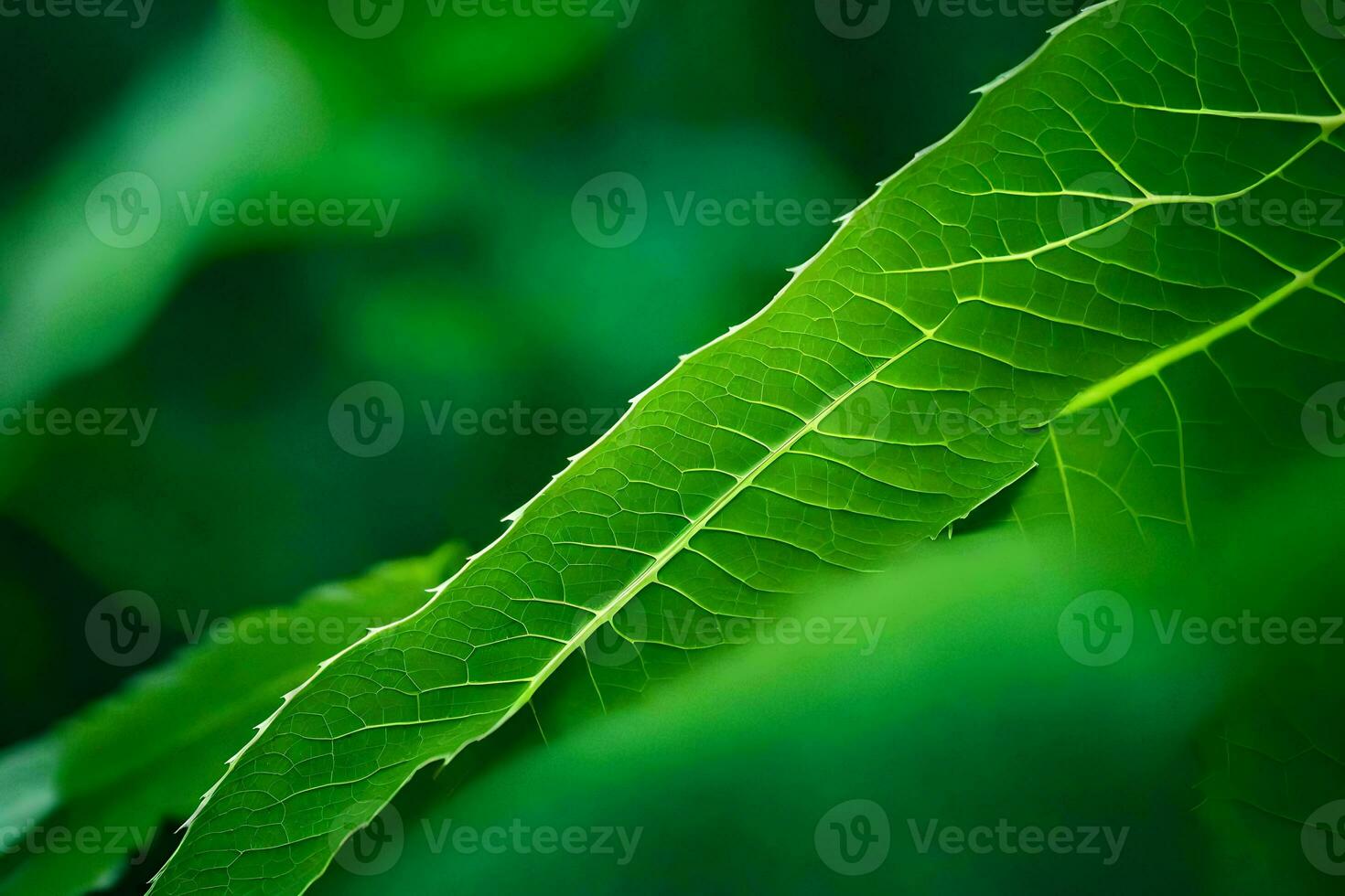 a close up of a green leaf. AI-Generated photo