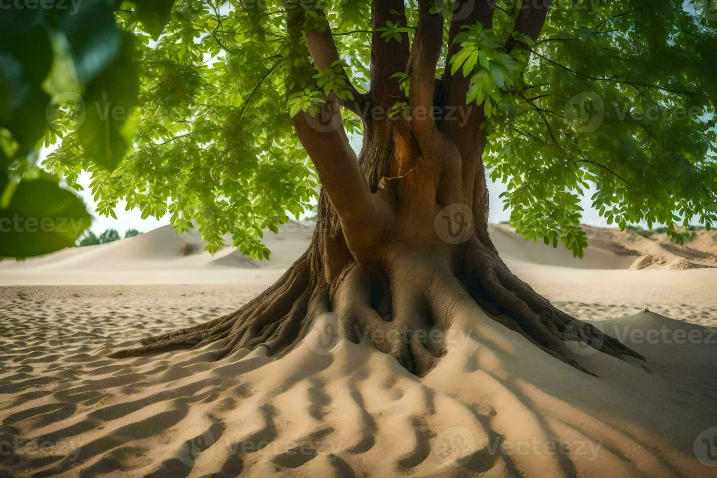 a tree with roots in the sand. AI-Generated photo