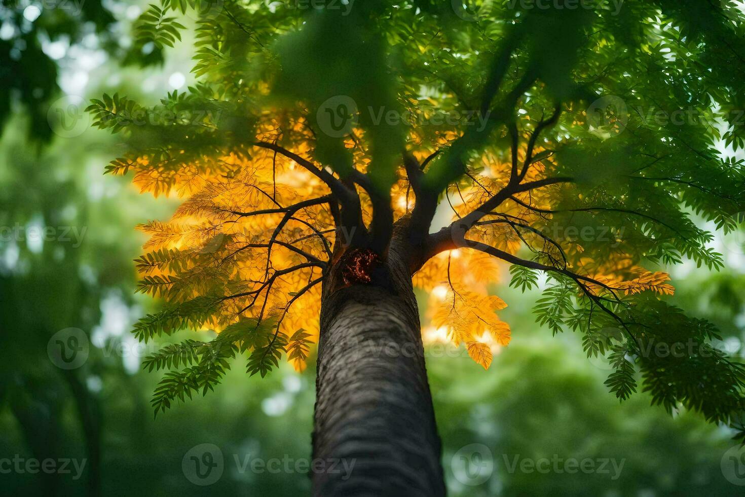 a tree with a bright orange light shining through it. AI-Generated photo