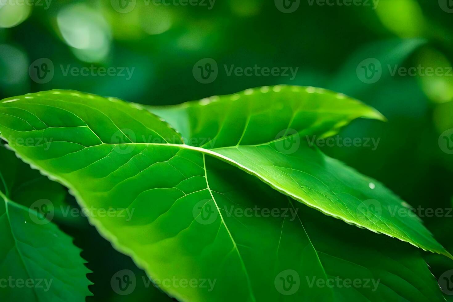 a close up of a green leaf. AI-Generated photo