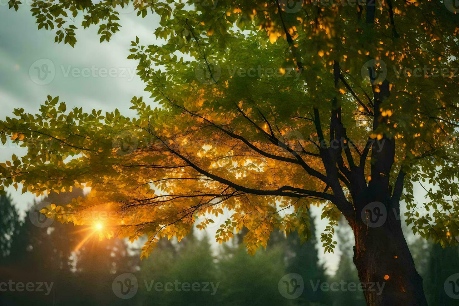 photo wallpaper the sky, trees, autumn, the sun, trees, the forest, the sun. AI-Generated