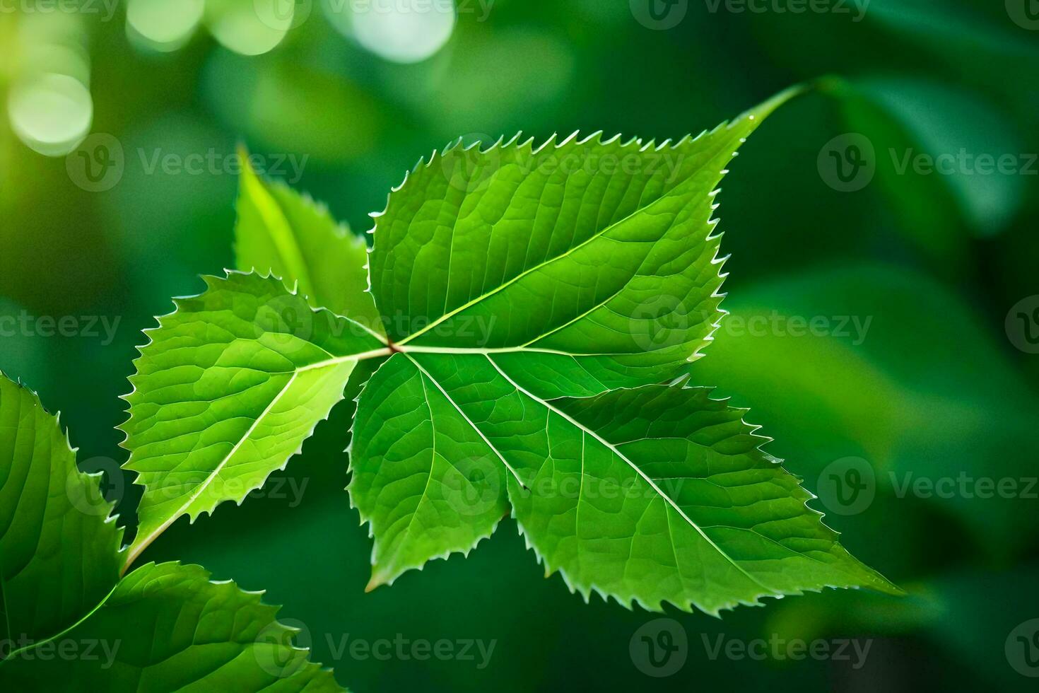 a close up of a leaf with green leaves. AI-Generated photo