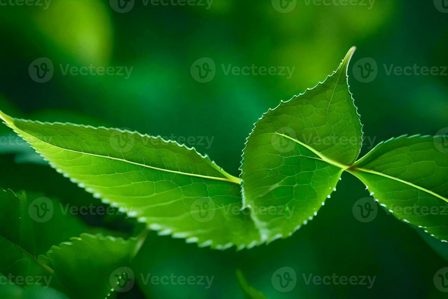 a close up of green leaves on a tree. AI-Generated photo