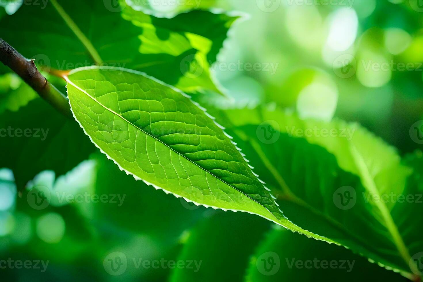 a close up of a green leaf on a tree. AI-Generated photo