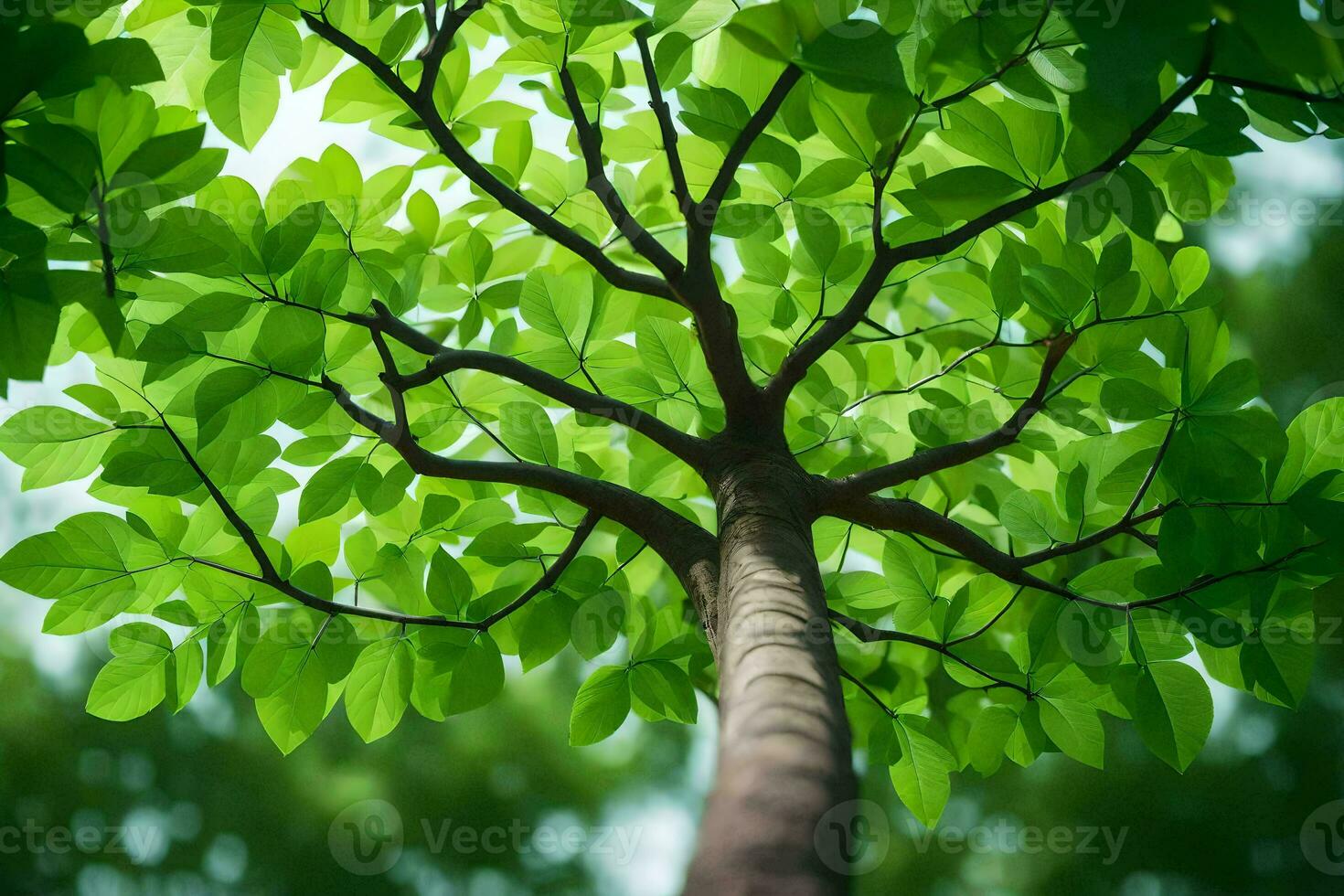 a tree with green leaves is seen from above. AI-Generated photo