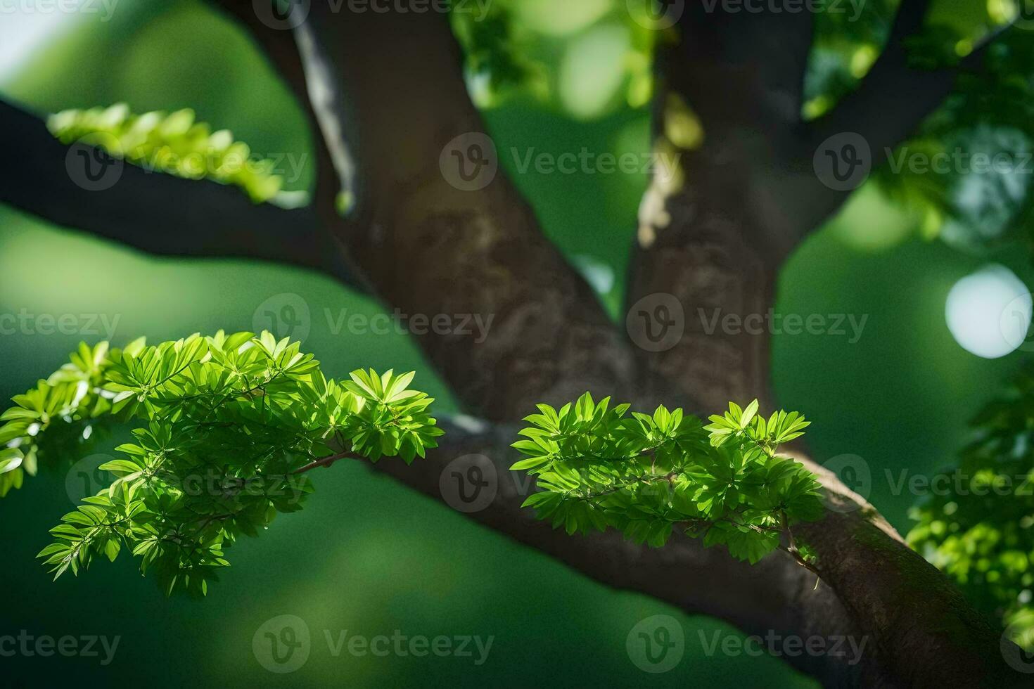 a tree branch with green leaves. AI-Generated photo