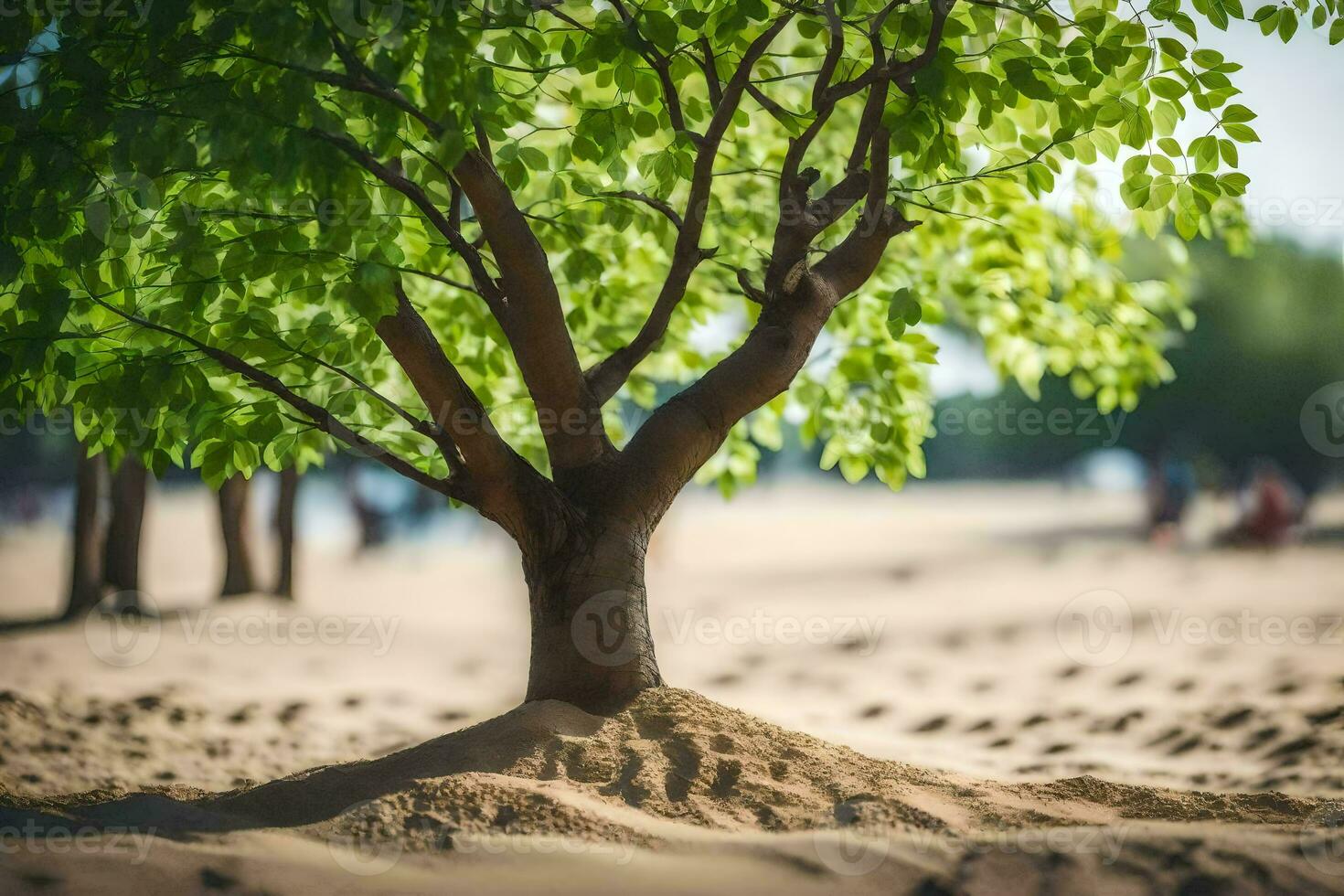 a tree is growing out of the sand in the middle of the beach. AI-Generated photo