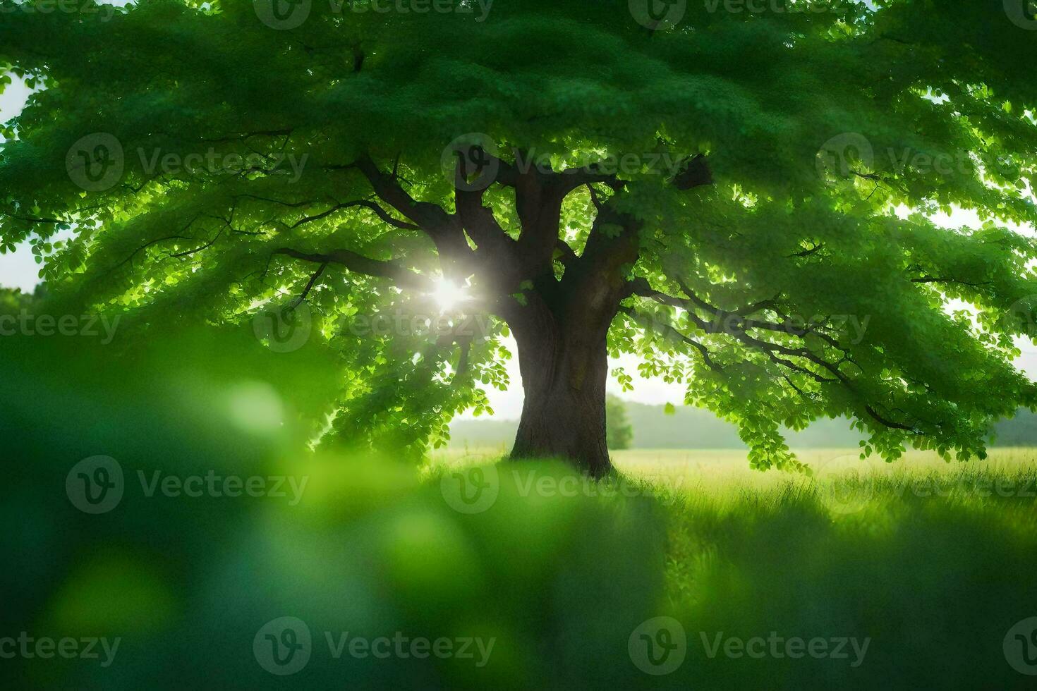 a tree in the middle of a field with the sun shining through. AI-Generated photo