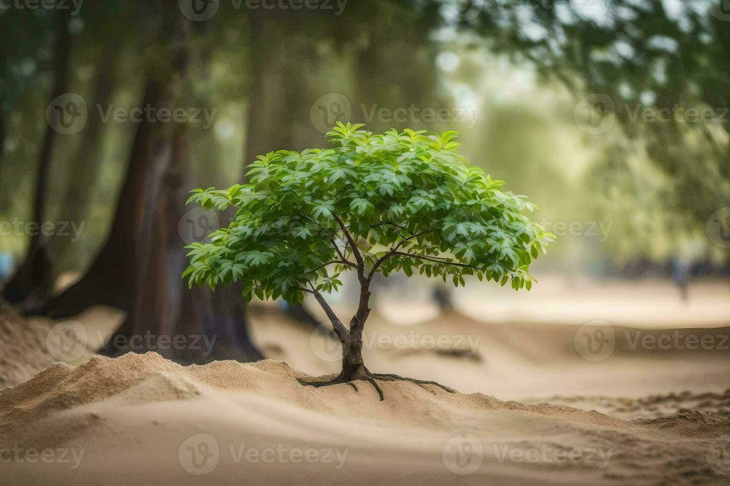 a small tree growing in the sand. AI-Generated photo