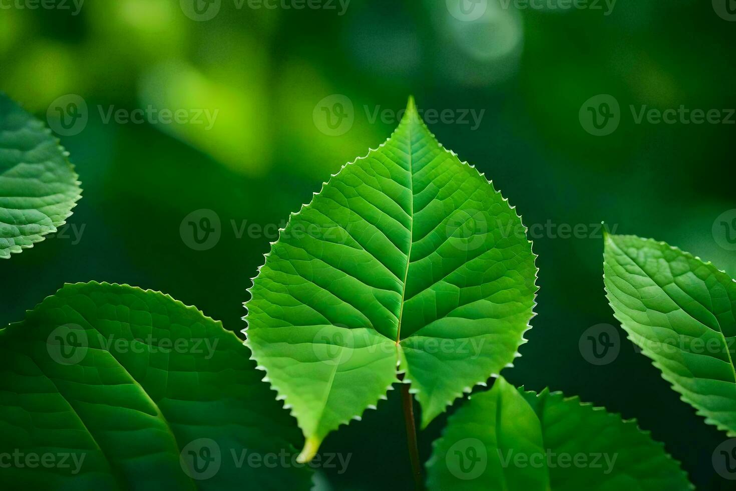 a close up of green leaves on a tree. AI-Generated photo