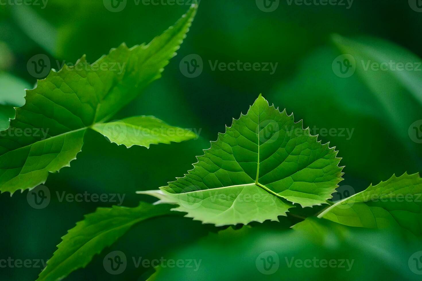 a close up of green leaves on a tree. AI-Generated photo