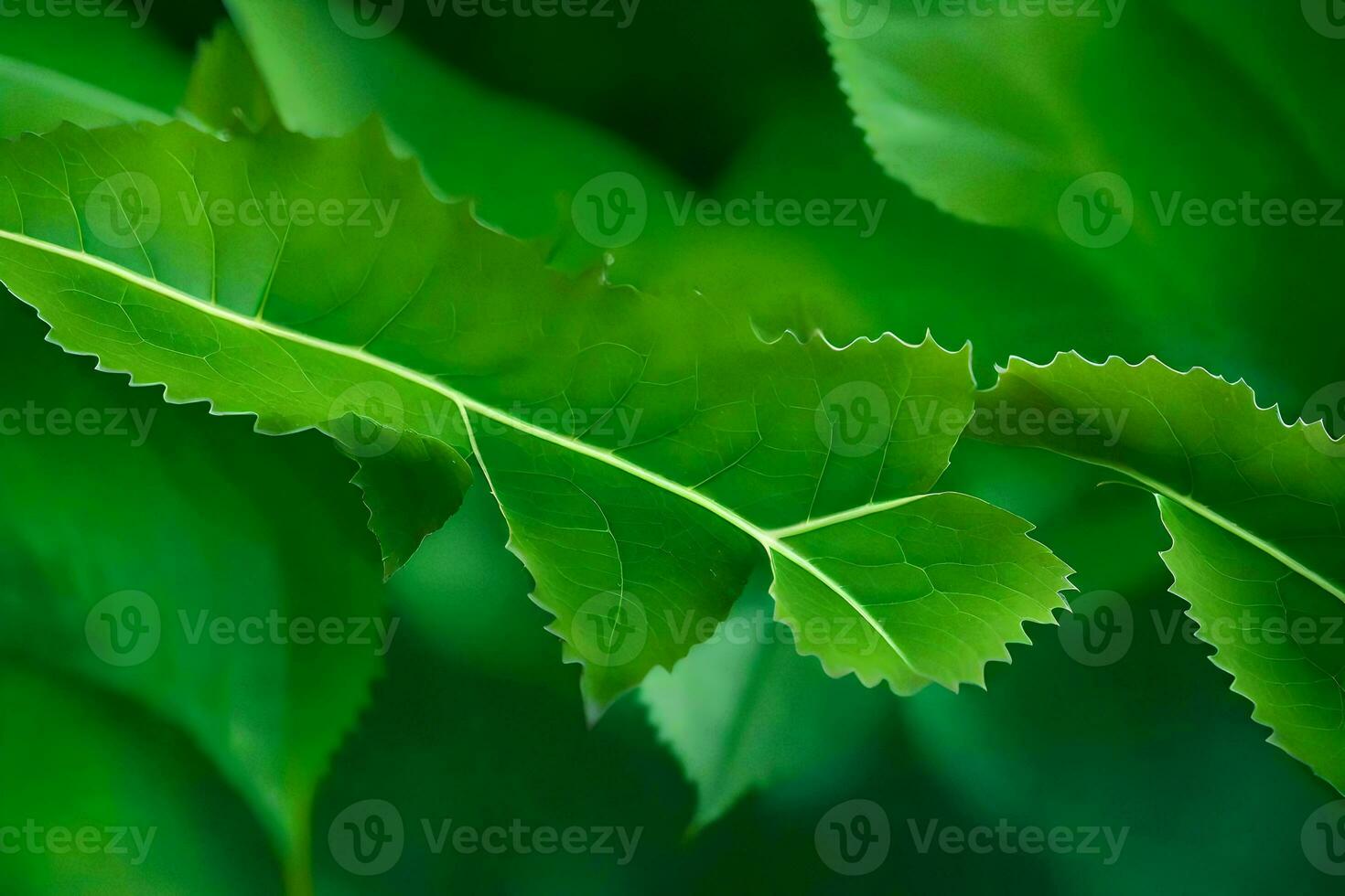 a close up of a leaf with green leaves. AI-Generated photo