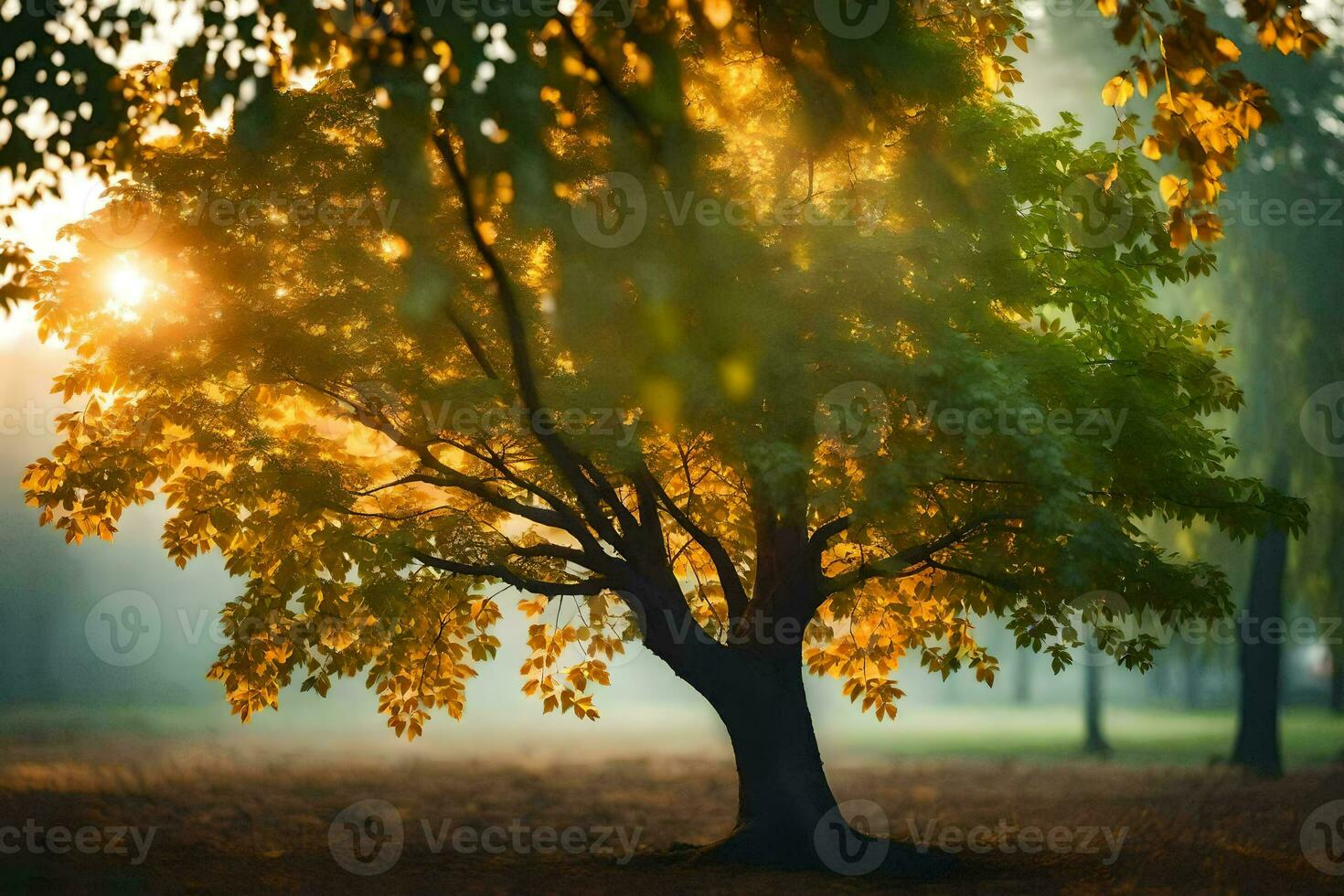 a tree in the middle of a field with the sun shining through it. AI-Generated photo