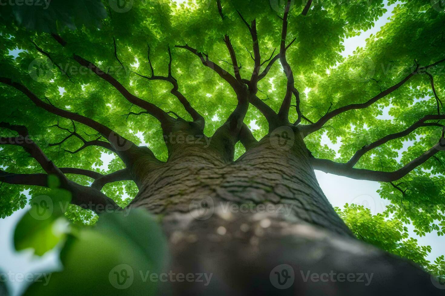 un árbol con verde hojas y luz de sol. generado por ai foto