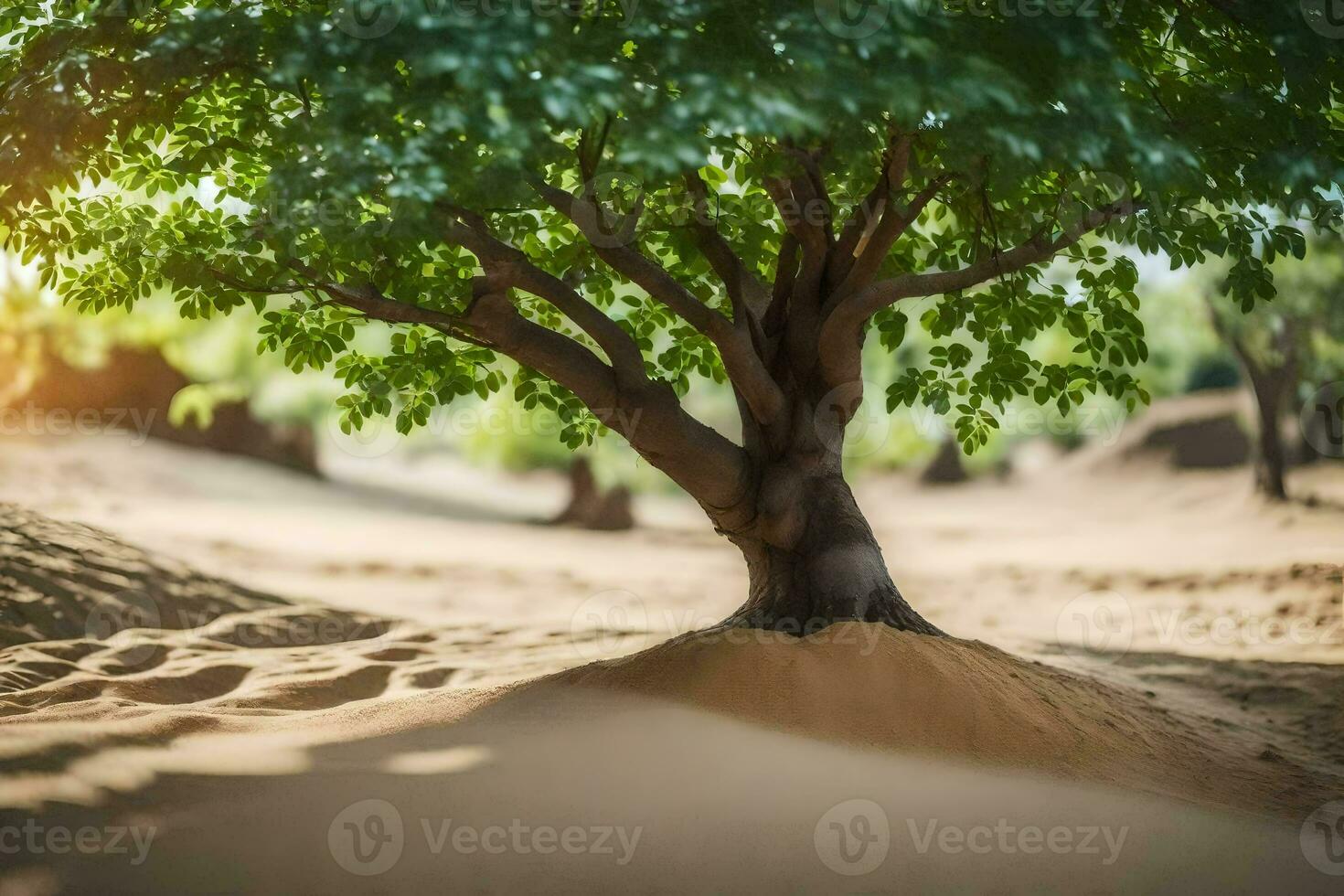 a tree in the desert with sand dunes in the background. AI-Generated photo