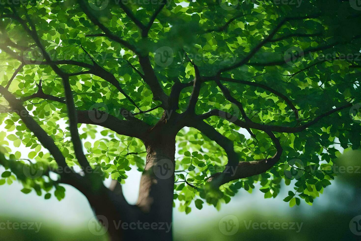 a tree with green leaves and sunlight shining through it. AI-Generated photo