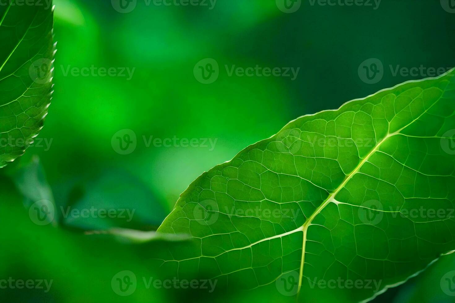a close up of green leaves on a tree. AI-Generated photo
