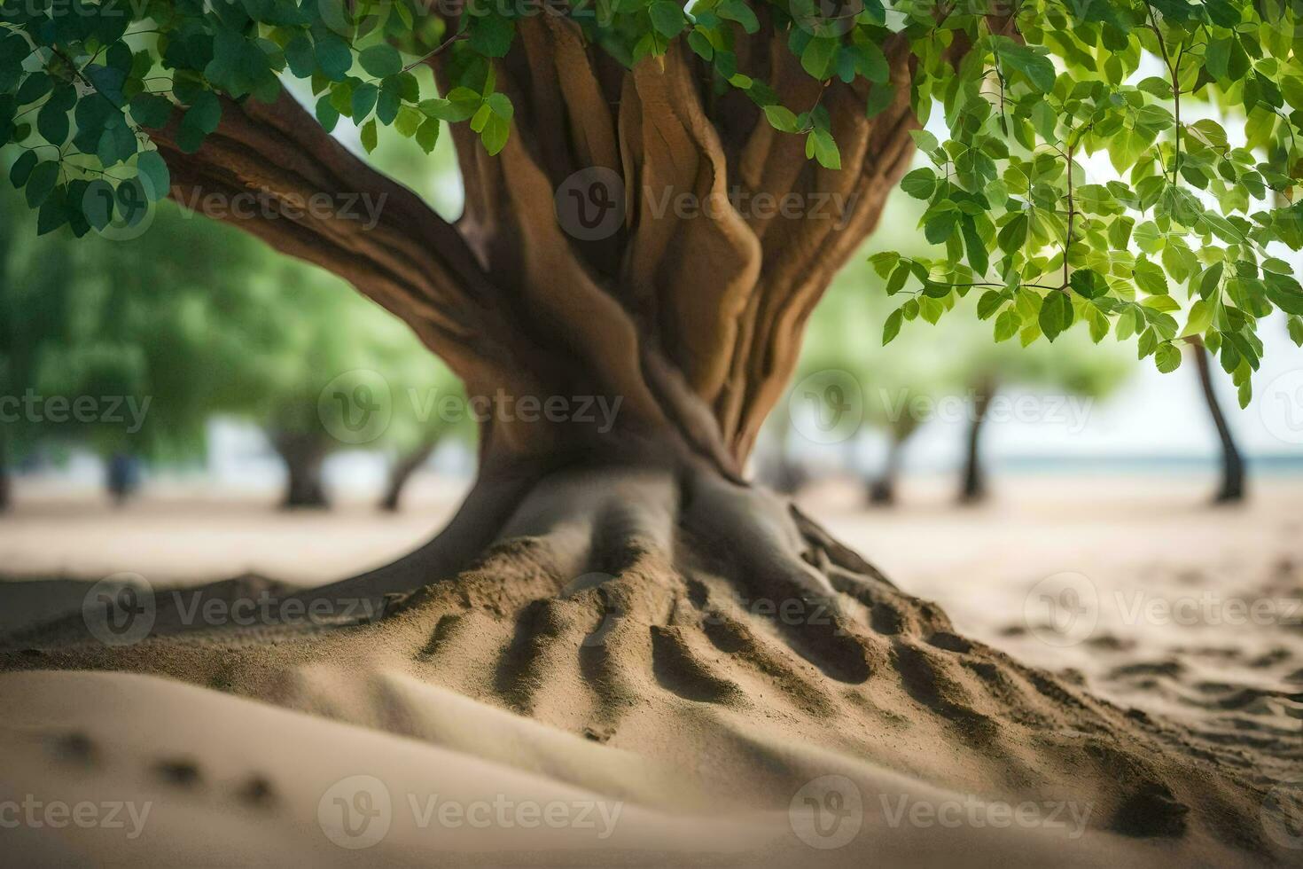 a tree with roots in the sand. AI-Generated photo