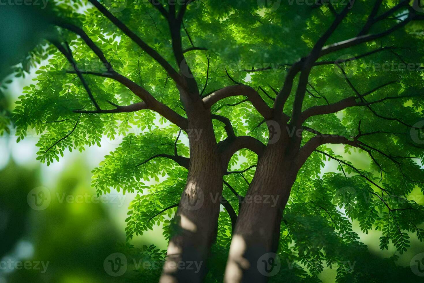 a tree with leaves and branches in the sun. AI-Generated photo