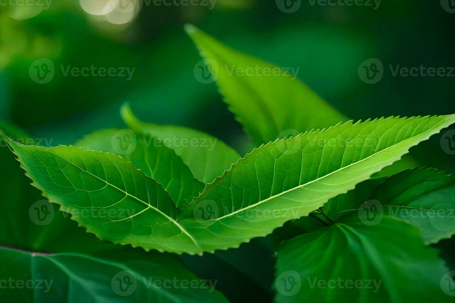 a close up of green leaves in the forest. AI-Generated photo