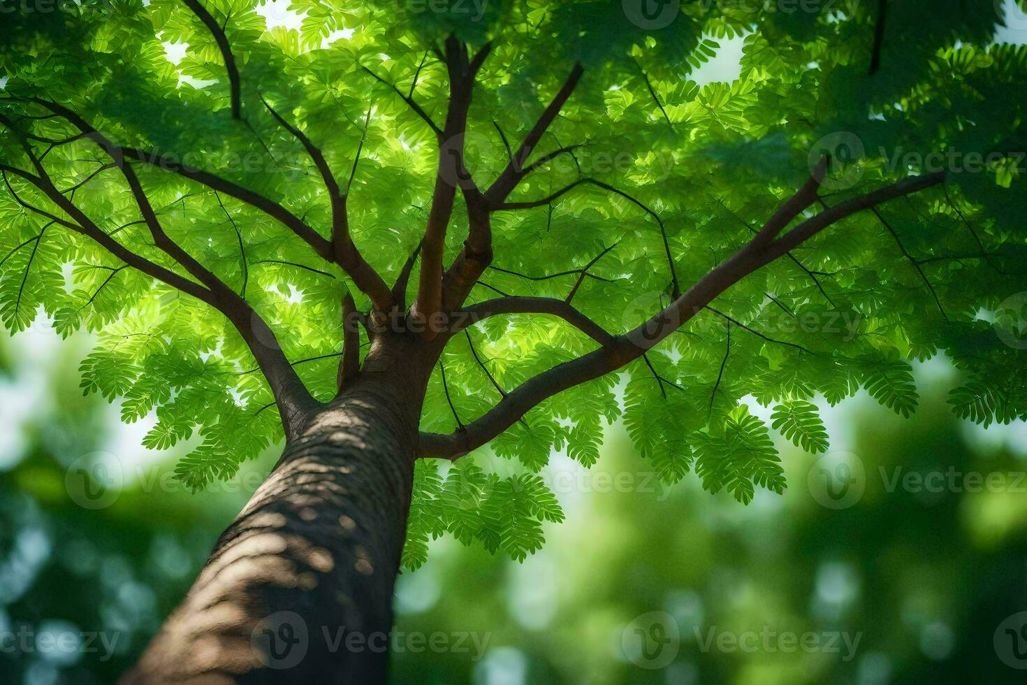 a tree is seen from above with green leaves. AI-Generated photo