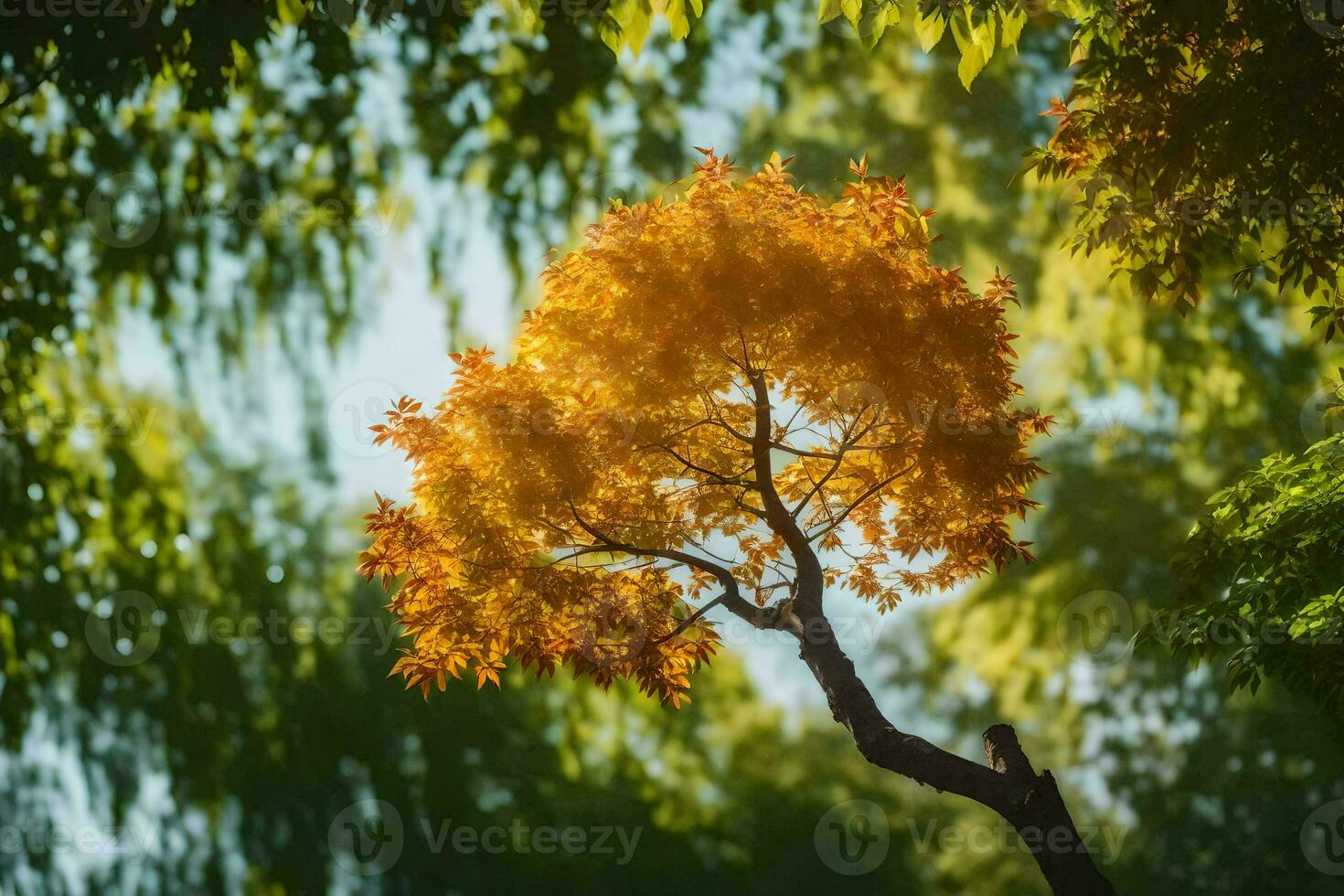 a single tree in the middle of a forest. AI-Generated photo