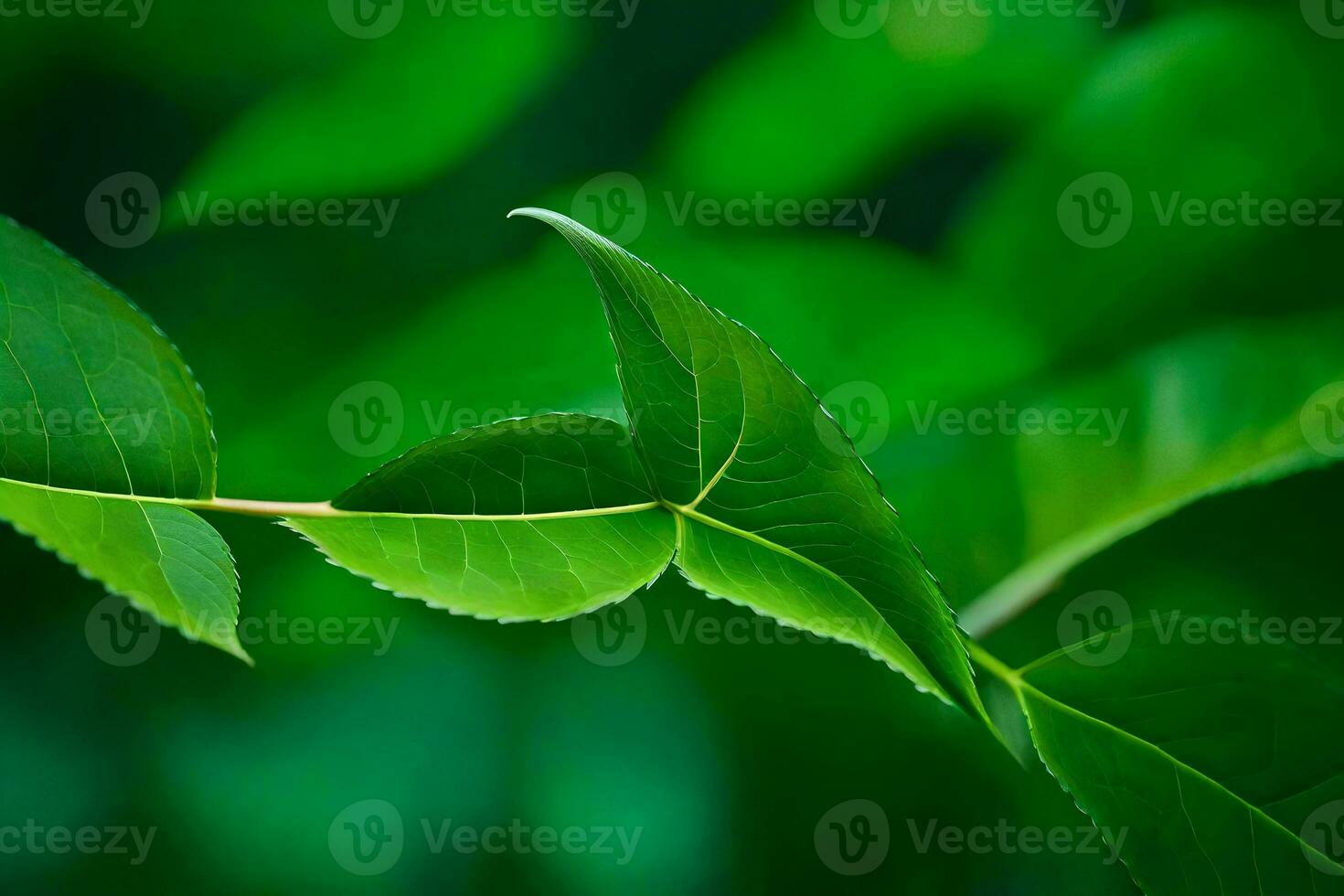 a close up of a green leaf. AI-Generated photo