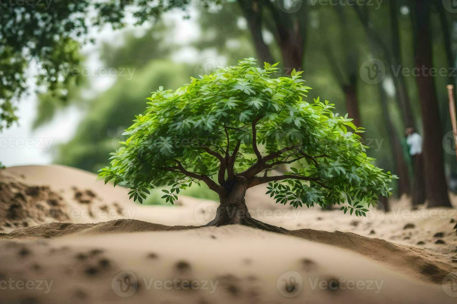 a small tree growing in the sand. AI-Generated photo