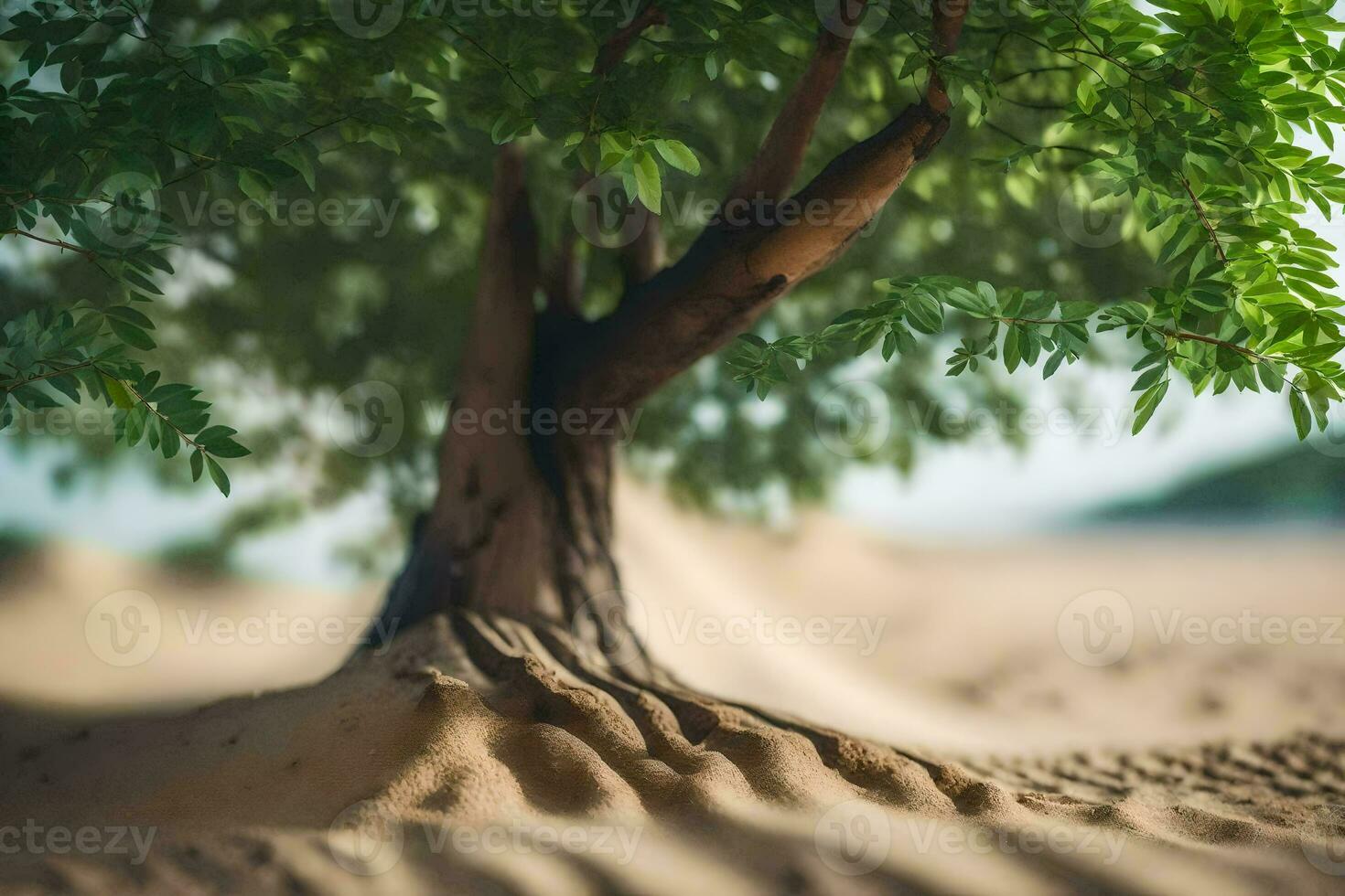 a tree in the sand with sand and dirt. AI-Generated photo