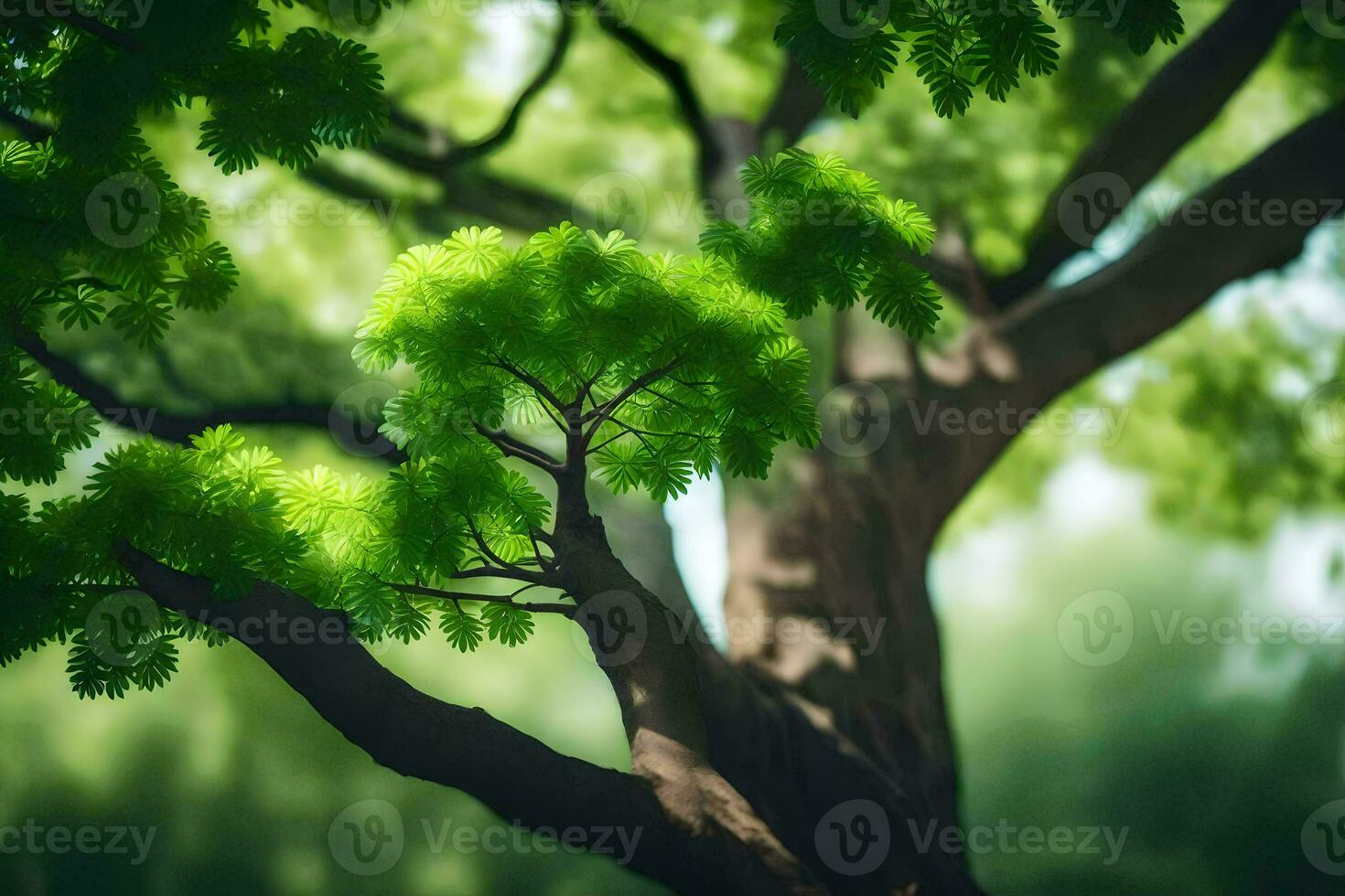 photo wallpaper the sky, trees, leaves, green, the forest, the trees, the forest. AI-Generated