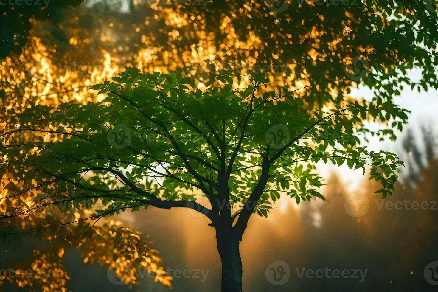 a tree in the middle of a forest with the sun shining through the trees. AI-Generated photo