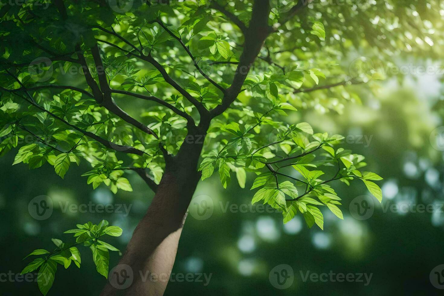 a tree with leaves and sunlight shining through it. AI-Generated photo