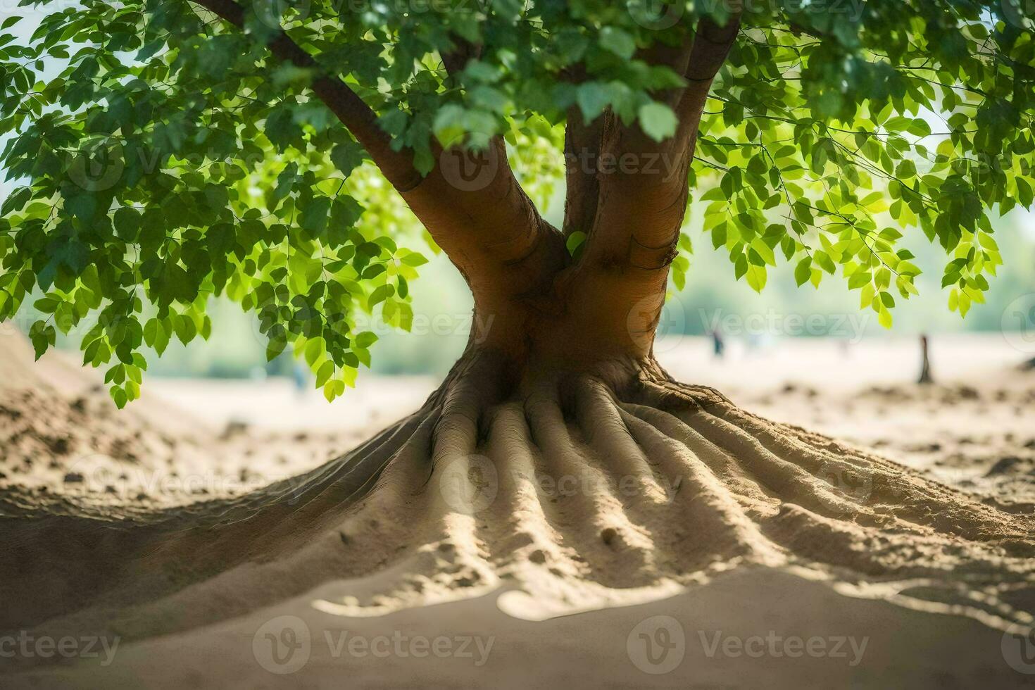 a tree with roots growing out of the sand. AI-Generated photo
