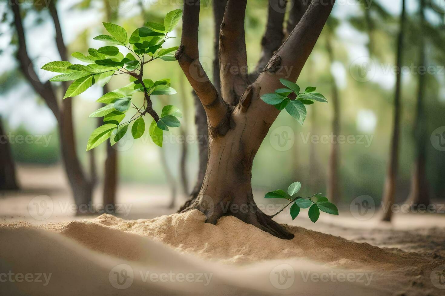 a small tree growing out of the sand in the middle of a forest. AI-Generated photo