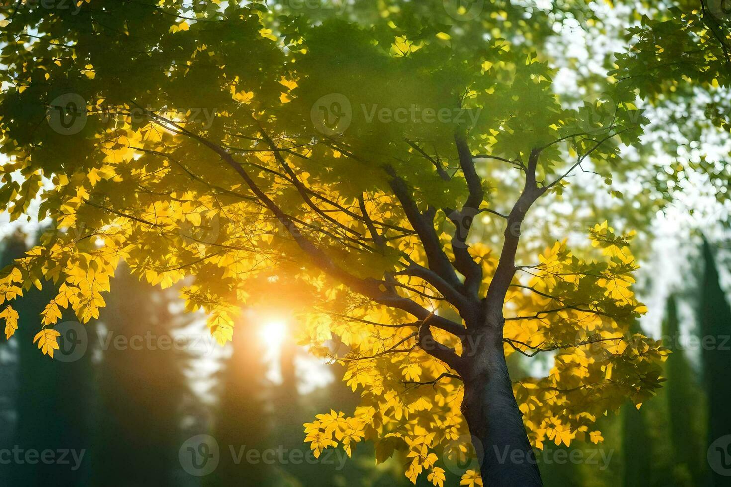 el Dom brilla mediante el hojas de un árbol. generado por ai foto