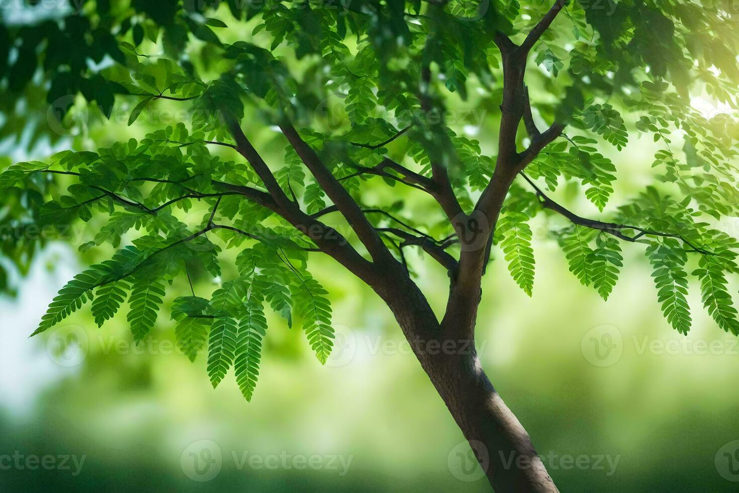 a tree with green leaves in the sunlight. AI-Generated photo