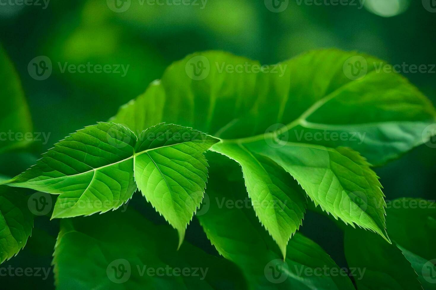 a close up of green leaves on a tree. AI-Generated photo