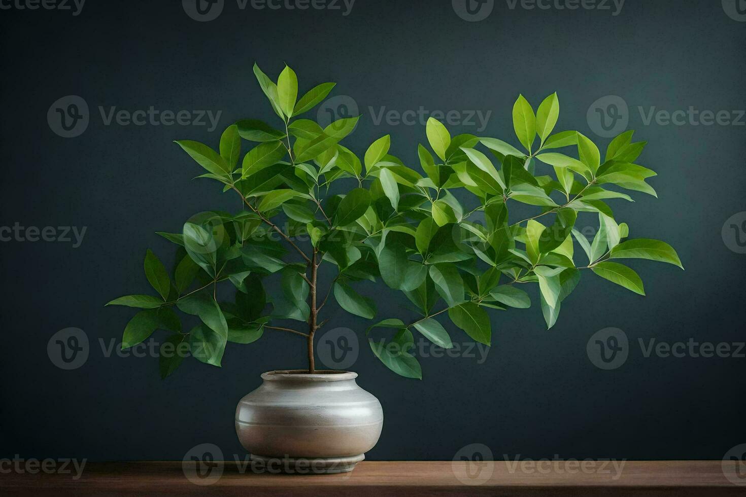 a potted plant in a vase on a table. AI-Generated photo