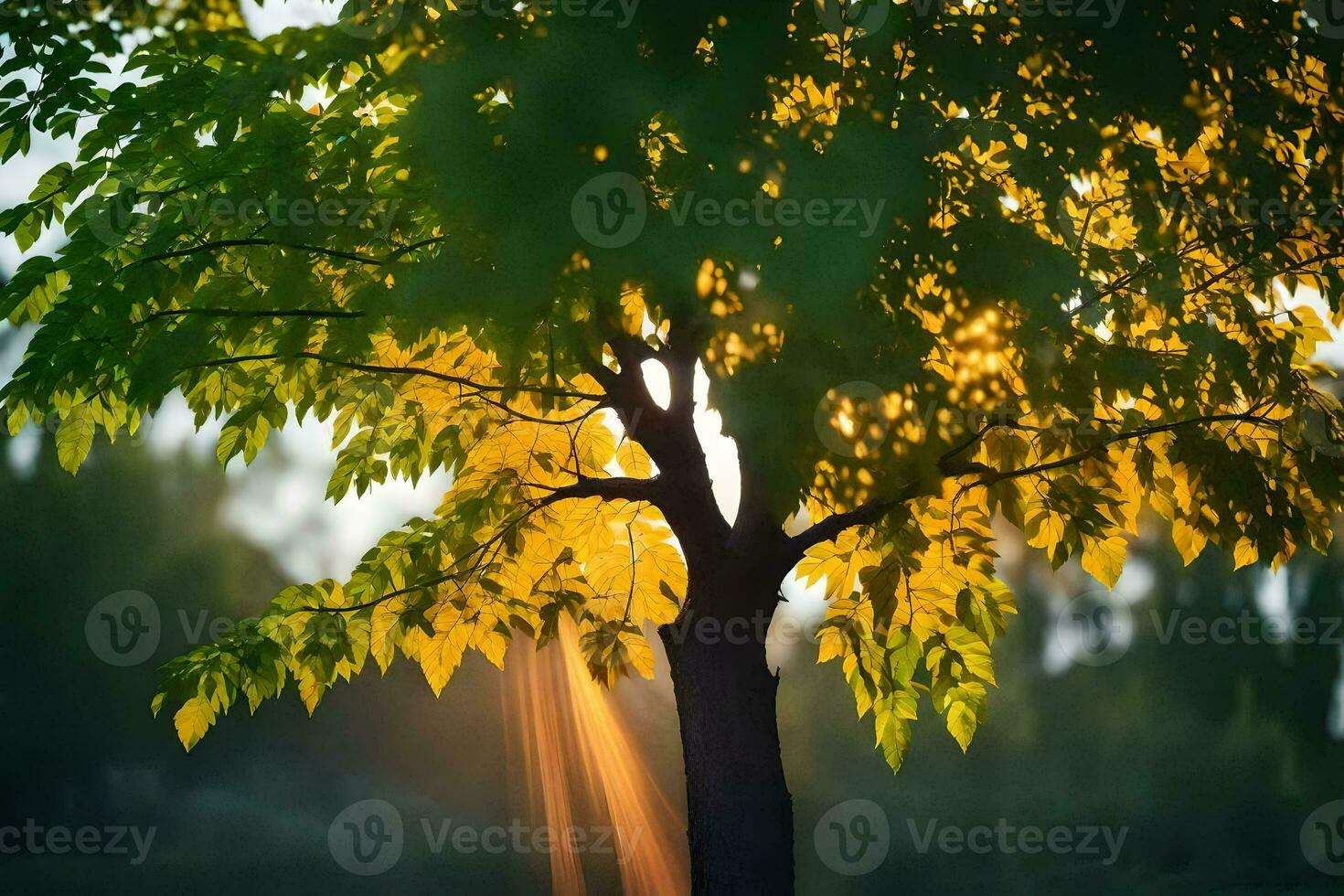 the sun shines through the leaves of a tree. AI-Generated photo