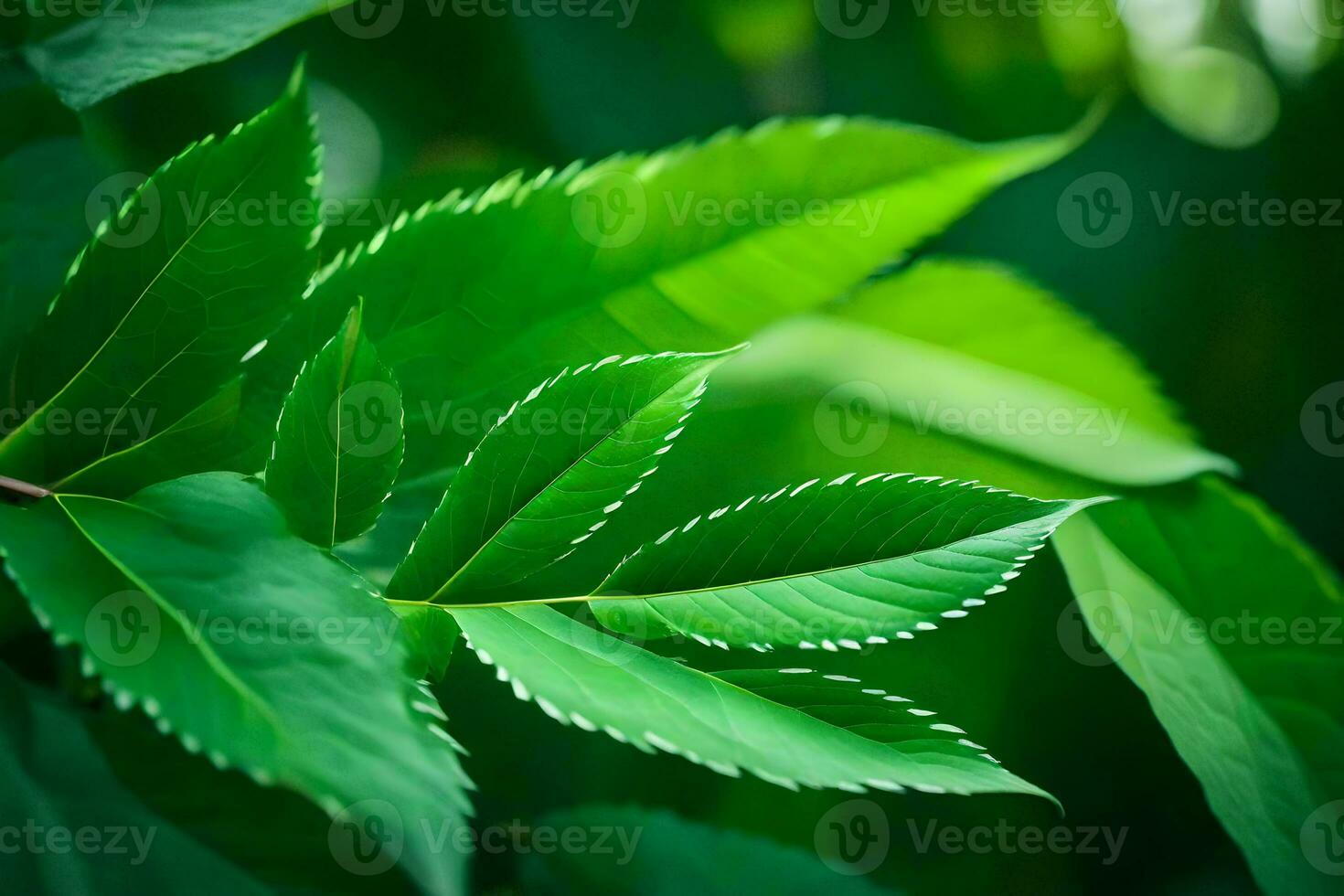 a close up of green leaves on a tree. AI-Generated photo