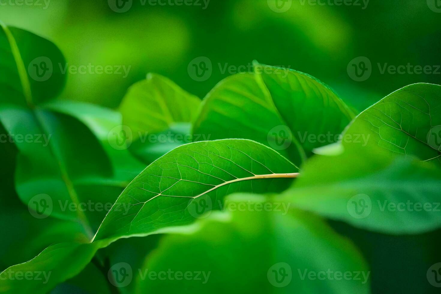 a close up of green leaves on a plant. AI-Generated photo