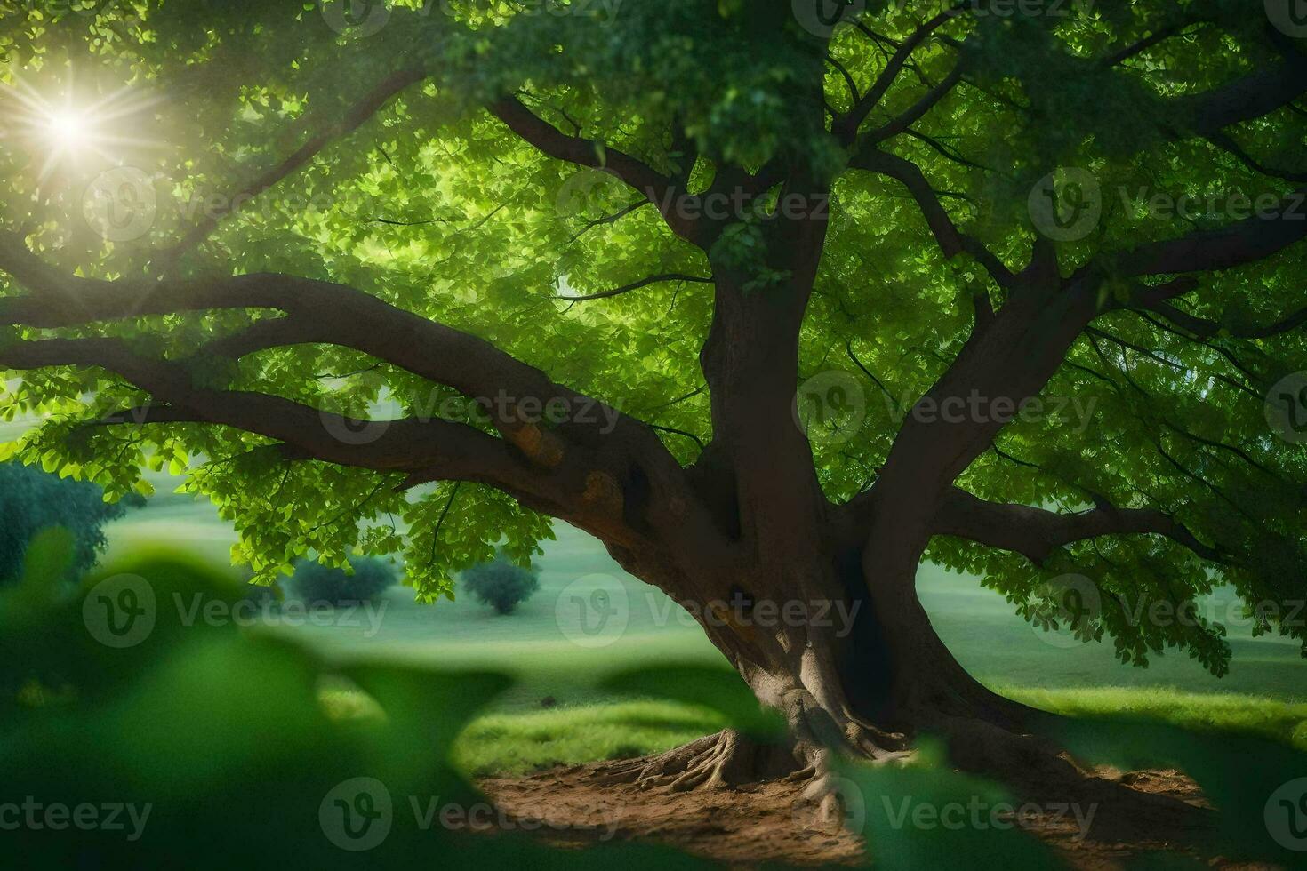 a tree is shown in the sunlight with the sun shining through. AI-Generated photo