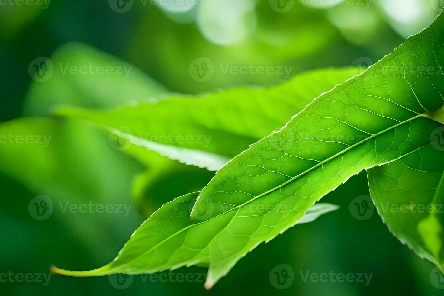 a close up of a leaf on a tree. AI-Generated photo