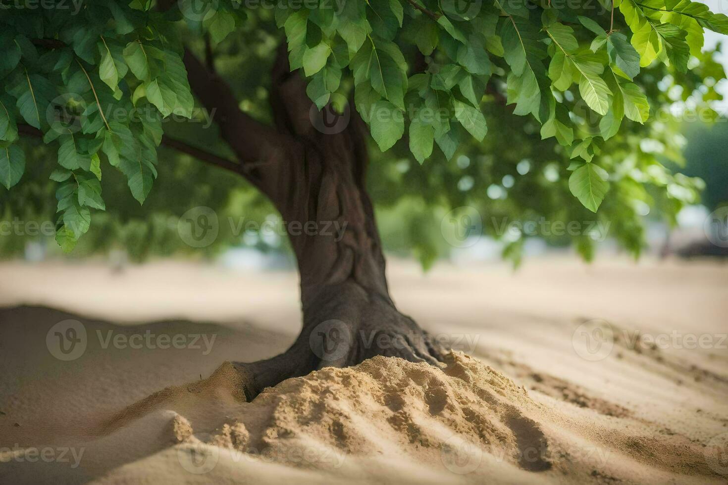 a tree with roots growing out of the sand. AI-Generated photo