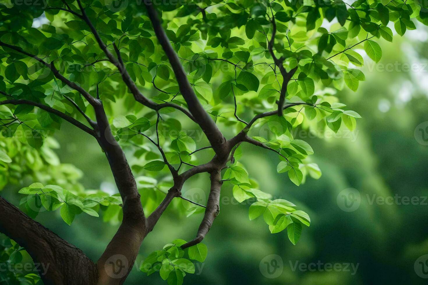 a tree with green leaves in front of a blurred background. AI-Generated photo