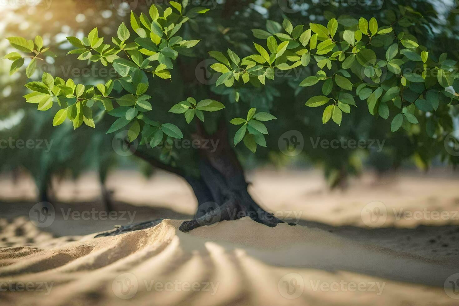 a tree in the desert with sand and grass. AI-Generated photo