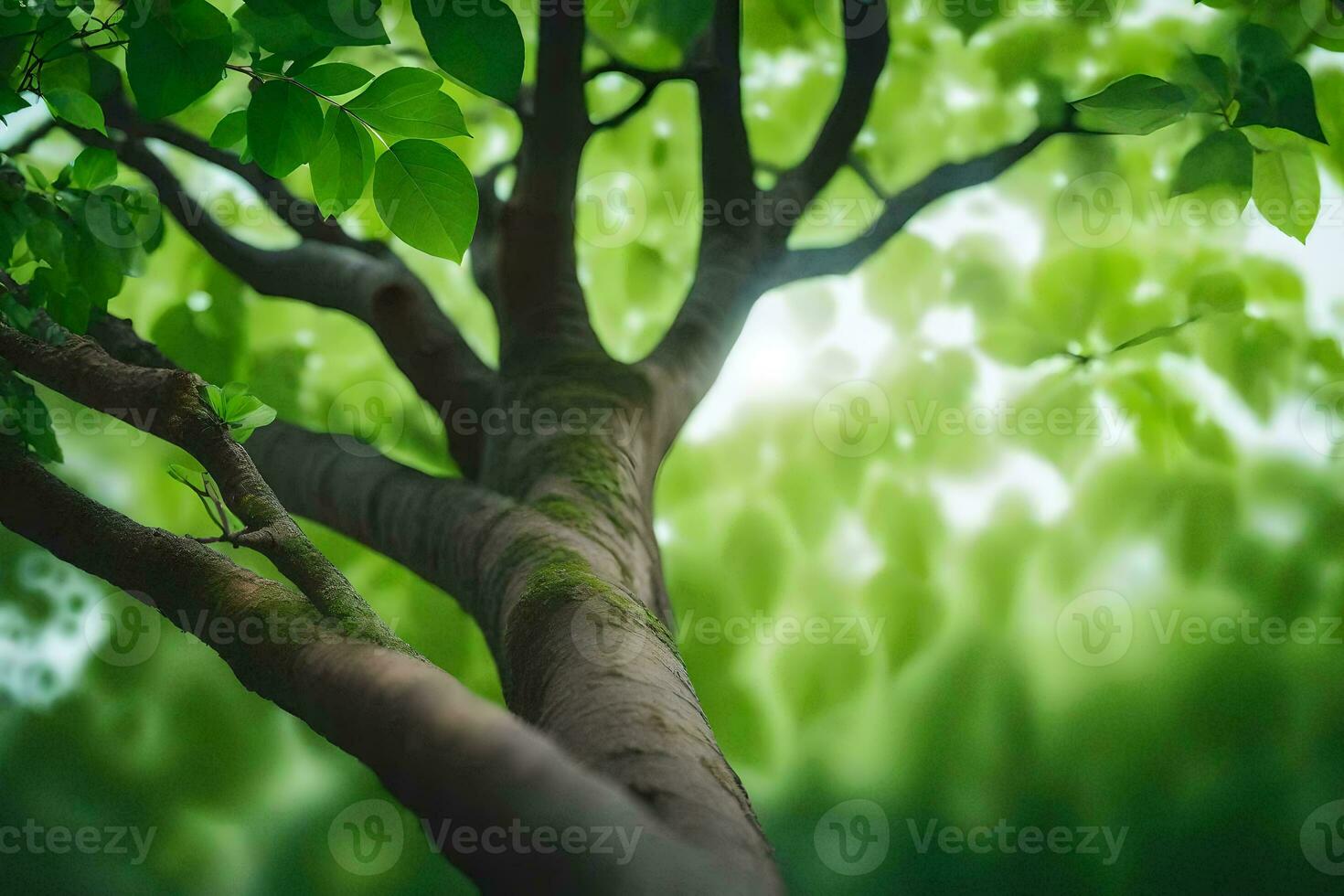 a tree with green leaves and sunlight shining through. AI-Generated photo