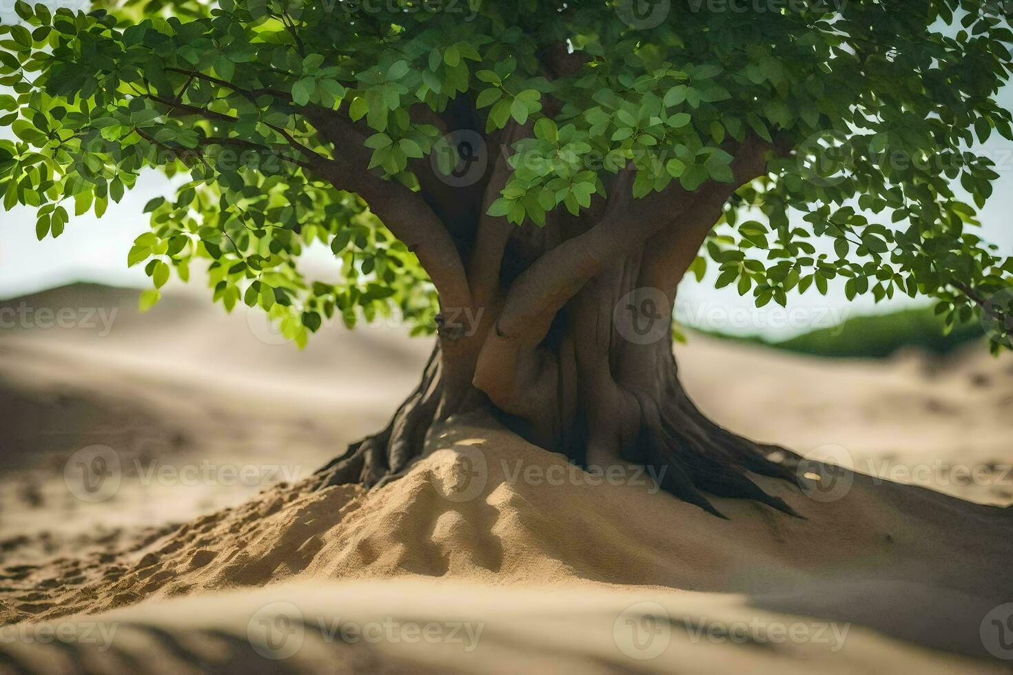a tree growing out of the sand in the desert. AI-Generated photo