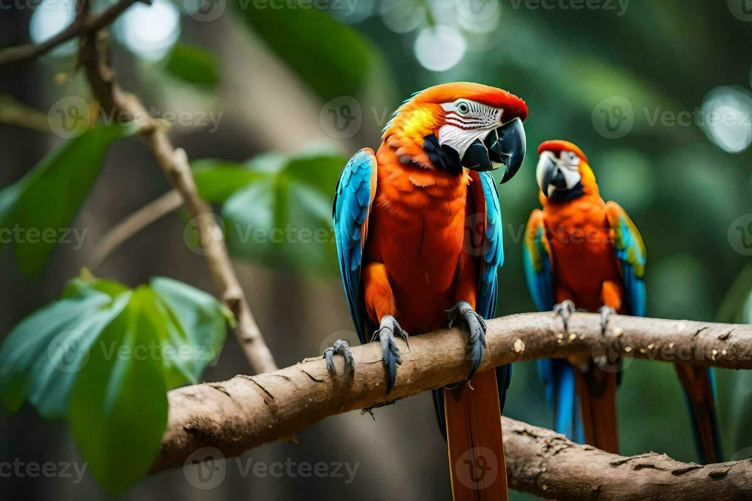 two colorful parrots sitting on a branch. AI-Generated photo