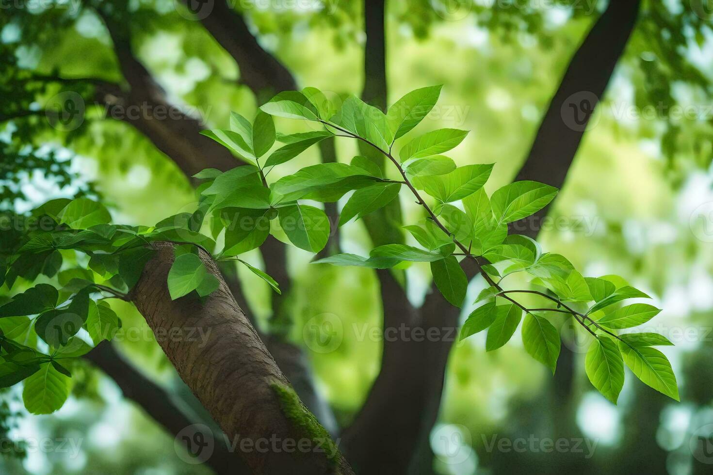 a green tree with leaves and branches. AI-Generated photo